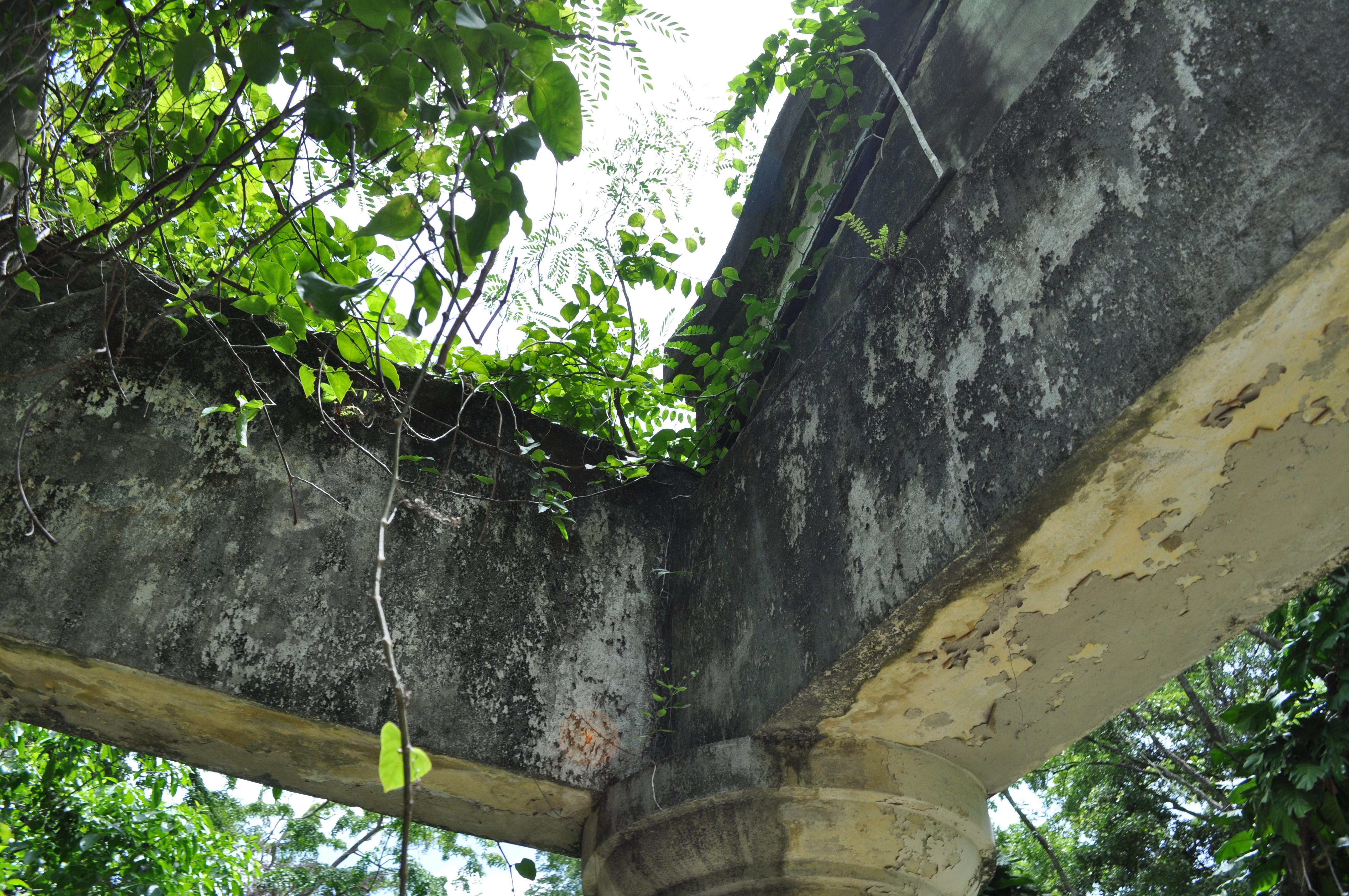 Antigua Lechería y Residencia de la Facultad de la Universidad de Puerto Rico - San Juan (Río Piedras) - 2014 00014